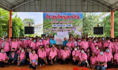 ชาวไร่ยาสูบอีสานวอนผู้สมัคร ส.ส.ช่วยแก้ปัญหาบุหรี่เถื่อน