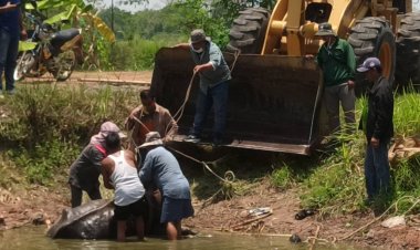 ช่วยแม่ควายท้องแก่!!ตกหลุมพลาดลงสระ ขาอ่อนแรงขึ้นไม่ได้นานหลายชั่วโม