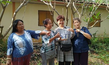 ชาวบ้านเสี่ยงดวง!!เลขผึ้งหลวง 8 ชั้นให้โชค เกาะหน้าต่างพระมานานกว่าหลาย10ปี ไม่เคยทำร้ายใคร