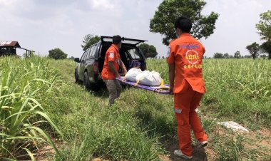 สลด!ฮีทสโตรกคร่าชีวิตยายวัย  81 ปีในไร่อ้อยหลังหายออกบ้านหลายวัน