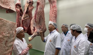 "อนุชา"เยี่ยมชมโรงชำแหละมาตรฐาน GMP และฮาลาล โคราช ลั่นดันเนื้อวัวไทยสู่ระดับโลก