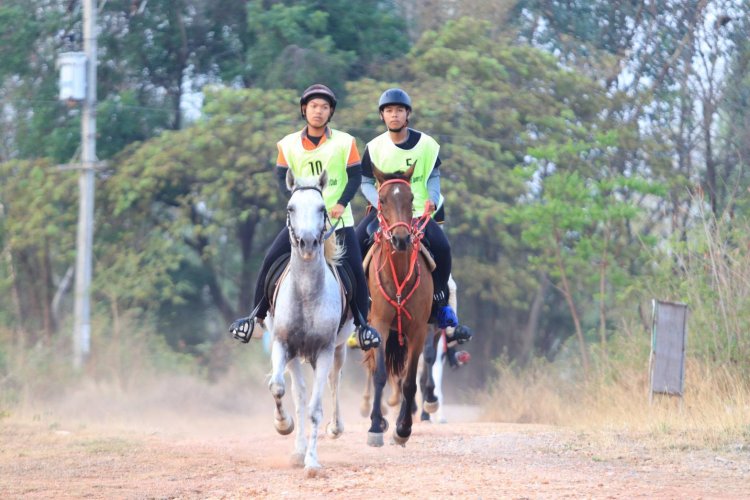 ชาวชัยภูมิสุดปลาบปลื้ม ครั้งแรกจัดแข่งขันกีฬาขี่ม้ามาราธอน รับถ้วยพระราชทานถ้วยสมเด็จพระกนิษฐาธิราชฯ