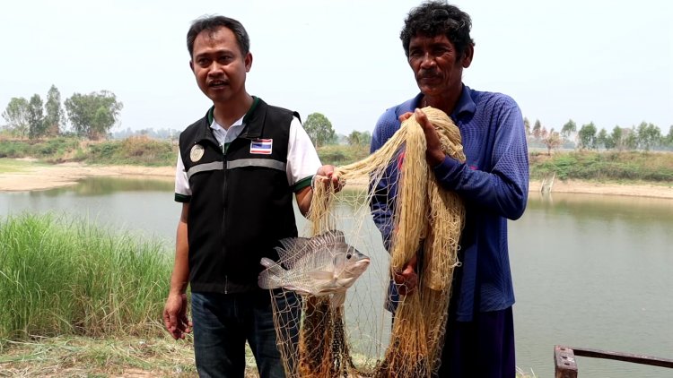 ประมงพิจิตรแจงเกษตรกรขึ้นทะเบียนกลุ่มผู้เพาะเลี้ยงสัตว์น้ำมีสิทธิรับเงินหนุน 1 แสน บาท