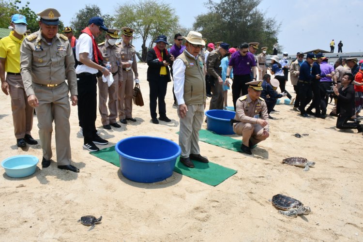 ประธานองคมนตรีเปิดโครงการอนุรักษ์ทรัพยากรและวางปะการังเทียม เกาะแสมสาร