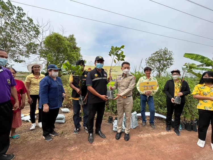 นอภ.บ้านสร้างร่วมกับสนง.พัฒนาชุมชนอำเภอบ้านสร้างจัดกิจกรรม "ทางนี้มีผล ผู้คนรักกัน”