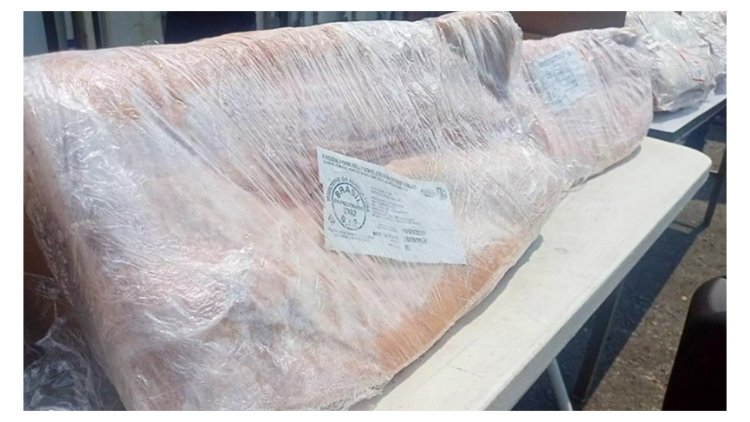 ผู้เลี้ยงหมู ยันรัฐต้องทำลายหมูเถื่อนค้างตู้ 4.5 ล้านกิโลกรัมทันที