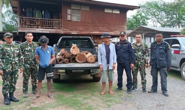 เจ้าหน้าที่หน่วยป้องกันรักษาป่าที่ 5 ปราจีนฯ บุกรวบแก๊งตัดไม้พะยูงพร้อมยึดของกลาง 22 ท่อน