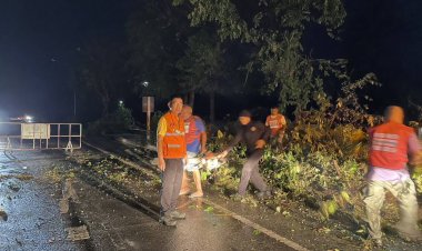 หน่วยงานที่เกี่ยวข้องเร่งช่วยเหลือเหยื่อวาตภัยเกิดหลายพื้นที่จังหวัดตาก