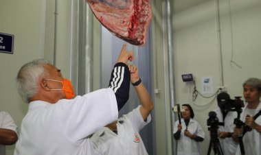 “สุวัจน์”ฟุ้งลุยดัน ฟู้ดวัลเล่ย์ สร้างโคราช เมืองผลิตอาหาร"เนื้อโคราชวากิว"ป้อนตลาดโลก