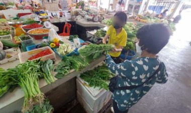 สายแซบกระอัก!มะนาว พริก เมือยะลา ราคาพุ่งเผยพริกมะนาวในพื้นที่ภาคใต้ออกผลผลิตน้อย