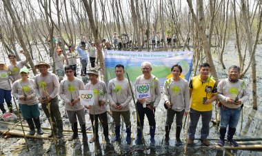 CPF หนุนชุมชน หน่วยงานภาครัฐ ร่วม "ปลูก ปัน ป้อง ป่าชายเลน" จ.สมุทรสาคร ปกป้องความหลากหลายทางชีวภาพ