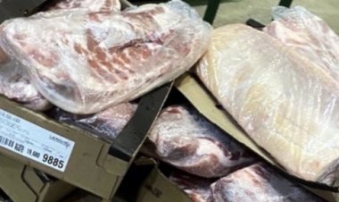 เกษตรกรเตือนหมูเถื่อนหนีตรวจ ทะลักทำราคาดิ่ง