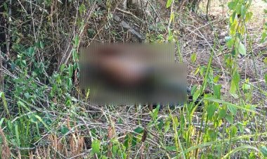 ขัดแย้งเรื่องซื้อขายสัตว์ป่ายิงทิ้งหนุ่มนาดีหมกสวนมันสัมปะหลัง