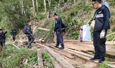 มอดไม้เหิมใช้รถแบ็คโฮเข้าทำลายป่าสงวนป่าต้นน้ำเหนือทะเลสาบเขื่อนบางลาง แม่น้ำปัตตานี