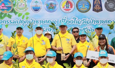 ชลบุรีจัดกิจกรรมปลูกป่าชายเลน เนื่องในวันป่า ชายเลนแห่งชาติ