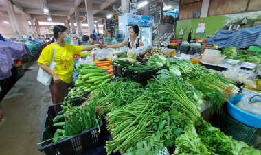 คนยะลาอ่วม!ราคาผักพุ่งเว่อร์พาเหรดขึ้นราคาไม่หยุด ต้นหอมพุง 180 ต่อ กก.