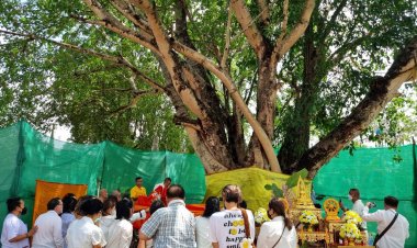 พิธีฉลองสมโภชน์ต้นศรีมหาโพธิ์   ที่นำหน่อมาจากเมืองพุทธคยาวัดแจ้งเมืองเก่า อ.ประจันตคาม