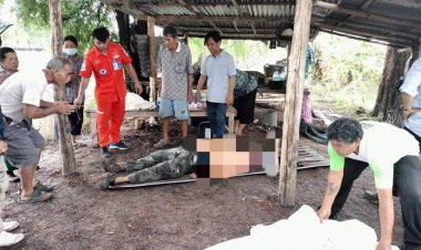 หนุ่มโคราชต้อนวัวไปเลี้ยงกลางทุ่ง เกิดฝนตกวิ่งหลบฝนในกระท่อมปลายนา ถูกฟ้าผ่าดับอนาถ