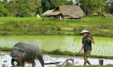 ผอ.โครงการชนประทานอำนาจเจริญมั่นใจน้ำเพียงพอในการใช้อุปโภค-บริโภค