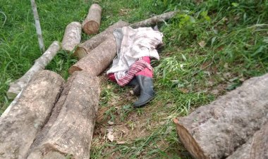 คนร้ายยิงหนุ่มชาวสวนยาง ดับในสวนยางพาราที่ปัตตานี