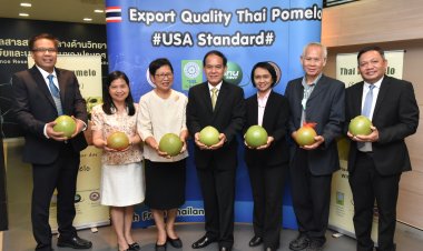 ครั้งแรกประเทศไทย วช. จับมือ สทน. – ม.นเรศวร ฉายรังสีส้มโอสำเร็จส่งออกอเมริกา