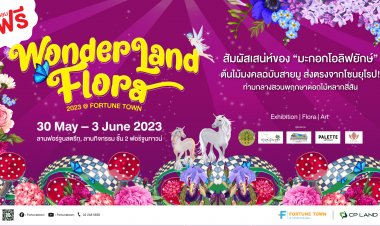 ฟอร์จูนทาวน์ ชวนสัมผัสดินแดนแห่งดอกไม้หลากสีสันบานสะพรั่งใจกลางเมือง