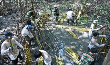 ซีพีเอฟจิตอาสา รักษาสมดุลระบบนิเวศ และความหลากหลายทางชีวภาพ ป่าชายเลนระยอง