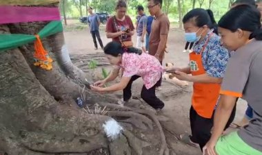 ชาวบ้านเมืองอุทัยธานีแห่ขอหวยต้นโพธิ์ยักษ์อายุกว่า 500 ปี หลังถูก 2 งวดติด