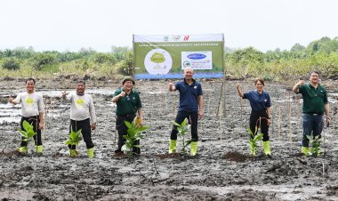 ซีพีเอฟ ร่วมมือ นิชิเร คู่ค้าญี่ปุ่น เดินหน้าปลูกป่าชายเลน จ.ตราด ยกระดับห่วงโซ่อุปทานอาหารที่รับผิดชอบต่อสังคมและสิ่งแวดล้อม