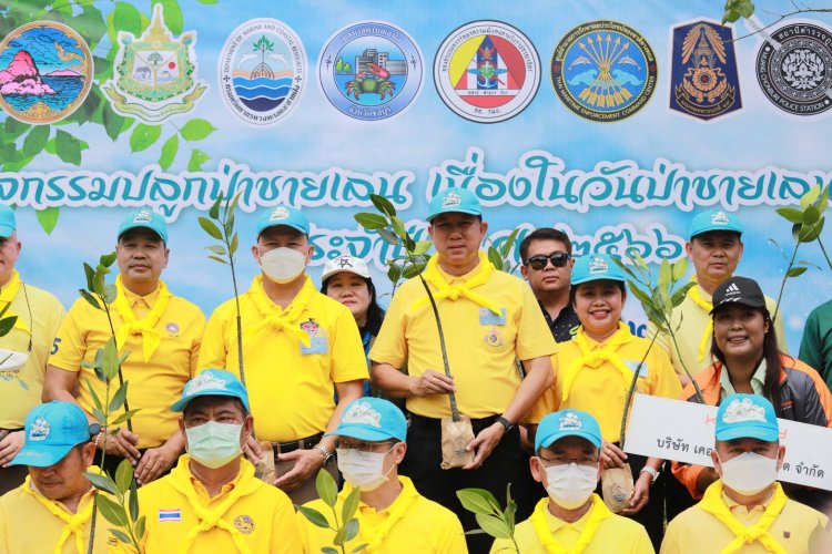 ชลบุรีจัดกิจกรรมปลูกป่าชายเลน เนื่องในวันป่า ชายเลนแห่งชาติ