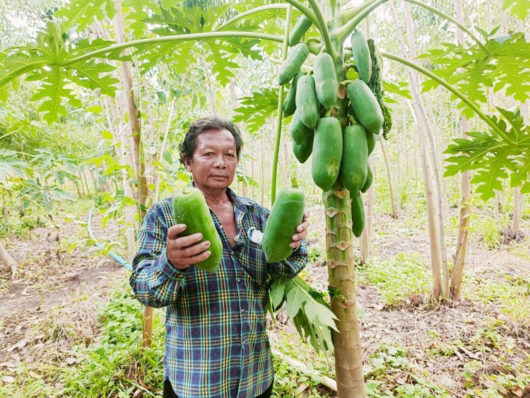 ซีพีเอฟช่วยเกษตรกรก้าวผ่านวิกฤตภัยแล้ง เดินหน้า “ปันน้ำปุ๋ยสู่เกษตรกร”ปีที่ 20