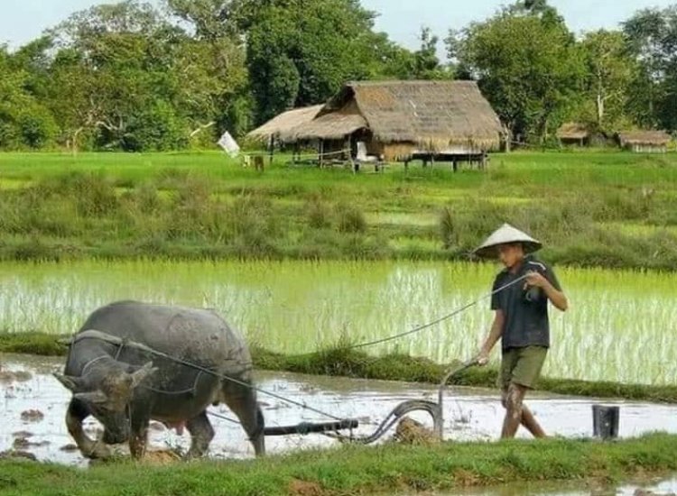 ผอ.โครงการชนประทานอำนาจเจริญมั่นใจน้ำเพียงพอในการใช้อุปโภค-บริโภค