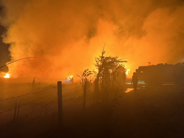 ทะเลเพลิง!ไฟไหม้ป่ารำพันกลางเมืองโคราช ชาวบ้านขนของหนีตายกันชุลมุน