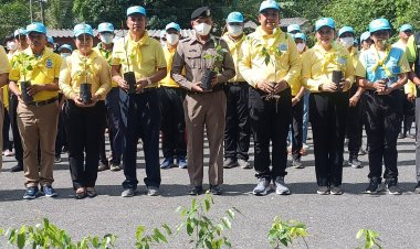 เบตงจัดกิจกรรม Kick off “ 1 หมู่บ้าน 1ทางนี้มีผล ผู้คนรักกัน ”เฉลิมพระเกียรติ สมเด็จพระเจ้าพี่นางเธอเจ้าฟ้ากัลยาณิวัฒนา