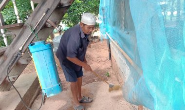 ทุกข์ชาวบ้านโคราช  แมลงปีกแข็งยกทัพบุกยึดบ้าน  ทำรังอยู่อาศัยนานนับเดือน วอนเร่งช่วยเหลือ