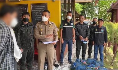 ตำรวจป่าไม้สนธิตำรวจทางหลวงรวบแก๊งค้าลิงแสมข้ามชาติ ทำเมนูเปิบพิสดาร