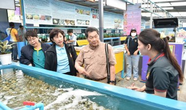 วช. ลงพื้นที่เกาะสีชัง ฟื้นระบบนิเวศทะเลไทย ด้วยงานวิจัย “เทคโนโลยีเพื่อการฟื้นฟูปะการัง” แก้ปัญหาปะการังสูญพันธุ์