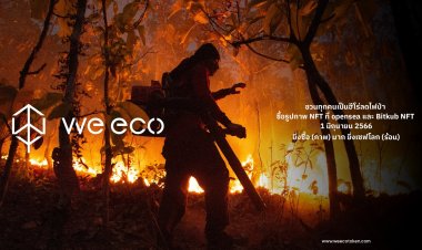 วี อีโค ชวนทุกคนเป็นฮีโร่ลดไฟป่า ช้อปรูปภาพ NFT ที่ opensea และ Bitkub NFT