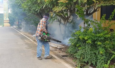 โคราชอ่วมไข้เลือดออกระบาดหนัก!นักเรียนป่วยสะสม182 ราย ดับ 1 ศพ