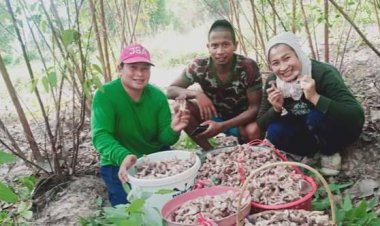 ฝนชุก!ชาวบ้านกบินทร์บุรีออกหาเก็บเห็ดยูคาขาว กินอื่ม-สร้างรายได้ดี