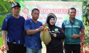 ผู้ว่าฯปัตตานีเผดิมลงมีดลูกแรกทุเรียนทรายขาว เป็นสัญลักษณ์ของฤดูกาลคาดว่าเงินสะพัดกว่า 200 ล้าน