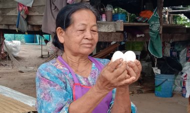 คนเลี้ยงเป็นโคราชยิ้มแก้มปริไข่ไก่แพงดันยอดขายไข่เป็ดพุ่ง เตรียมขยายพื้นที่เลี้ยงเป็ดเพิ่ม