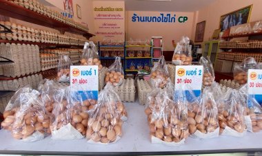 ชาวยะลาโอดไข่แพงแม่ค้าแจงเหตุไข่แพงอาหารสัตว์ขึ้นราคา อากาศร้อนแม่ไก่ไข่น้อยลง