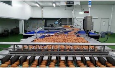 CPF ยกระดับการจัดการสูญเสียอาหารตลอดห่วงโซ่คุณค่า ขับเคลื่อนเป้าหมายการผลิตและบริโภคที่ยั่งยืน