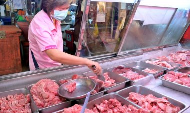 สัตวแพทย์ เตือน ระวังหมูเถื่อน ผลกระทบต่อสุขภาพคนไทย