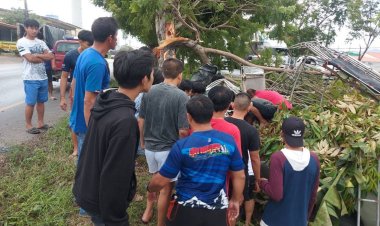 สลด! กระบะบรรทุกกิ่งพันธุ์ทุเรียนเสียหลักพุ่งชนต้นไม้ดับยกครัว 4 ศพที่อ.สามร้อยยอด