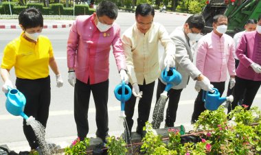 อธิบดีกรมส่งเสริมการปกครองฯร่วมปลูกต้นไม้เกาะกลางถนนหน้าทต.แพรกษา