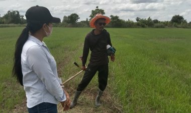 ชาวนาทุกข์ เผชิญเอลนีโญ ฝนน้อย ขาดน้ำ เกิดภาวะภัยแล้ง หวั่นกล้าข้าวยืนต้นตาย