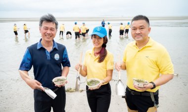 พนักงานจิตอาสา'S&P'ปลูกหญ้าทะเลคืนความสมบูรณ์สู่ระบบนิเวศ