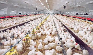 เนื้อไก่ไทย มาตรฐานระดับโลก สู่นวัตกรรมอาหารมาตรฐานอวกาศ